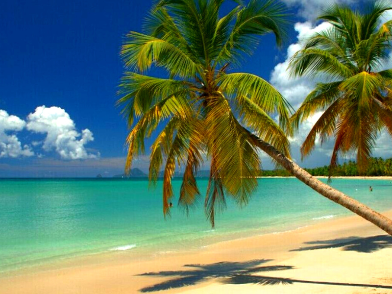 Combiné Guadeloupe &amp; Martinique en groupe